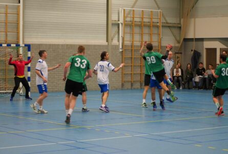 Vrone/Berdos Handbal